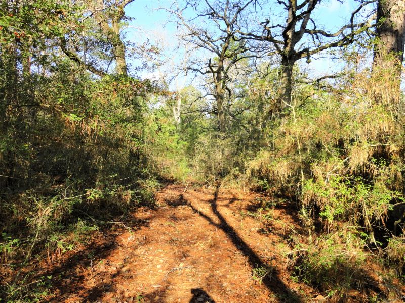 20 Acres of undeveloped land, all utilities, county road frontage