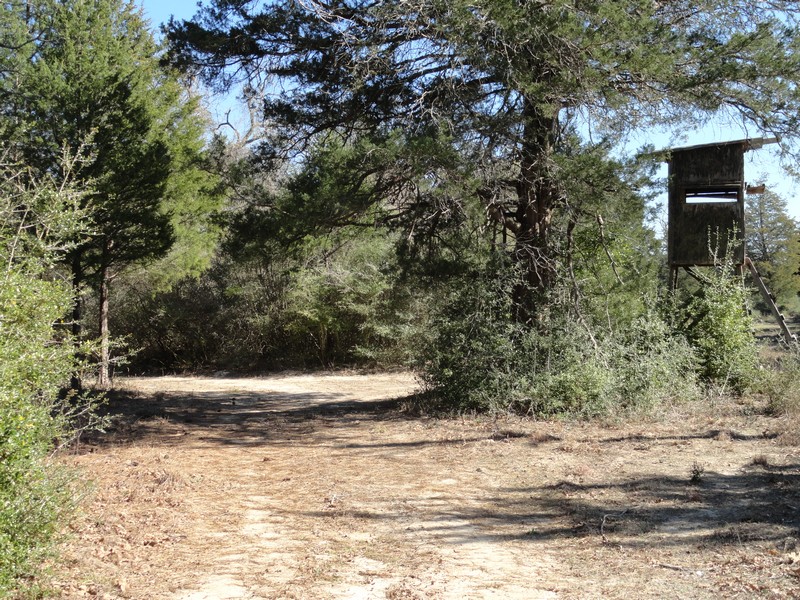 50 acres, 3 miles east of Centerville. Schwab Realty