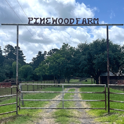 40 Acres, Log Home, 3 Barns, Fenced, Working Pens, Cattle &amp; Horse Property
