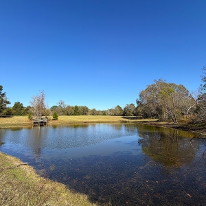 9.38 Acres, Perfect Homesite, Pond, County Road Frontage