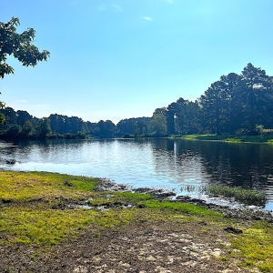 Private Lake, 3 Bedroom 1 Bathroom Log Home, 13.05 Acres of woods!!!