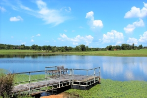 400 acre Oak Acorn High Fence Ranch in Butler, Freestone County