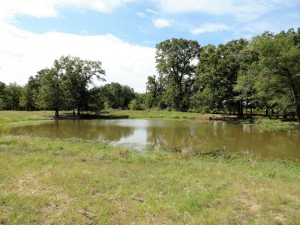 67.98 Acres, 2 stock ponds, fenced, and crossed fenced, paved road frontage