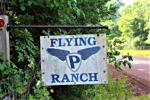 28 Acres, Secluded, 6 Ac Duck Marsh, Deer &amp; Hogs Galore