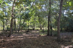 20.66 Acres 95% Wooded, Deer, Hogs and Waterfowl