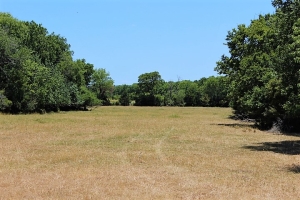 41.658 Acres, 85% Pasture, 2 Ponds, FM Road Frontage, Leona Community