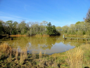307 Acre Ranch, 60% wooded, Paved Road Frontage, Lake, Camphouse