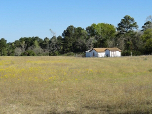 14.84 Acres with 1 bedroom, 1 bath home and 2 barns