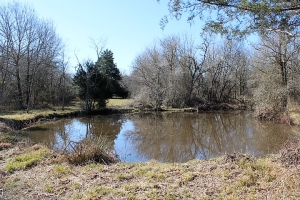 13.629 Acres, Pond, Fenced, Hunting &amp; Recreation