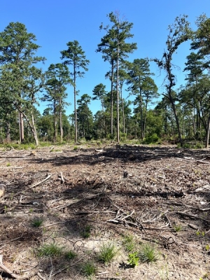 58.76 Acres, Hunting &amp; Recreation, Timber Exemption