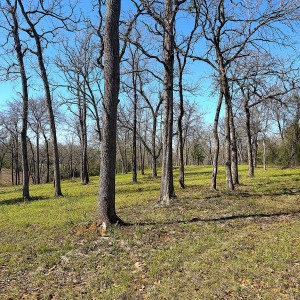 6.05 Acres, Undeveloped, Homesite Close to Town!