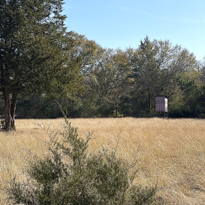 92.24 Acres of Pristine, Wooded Land, Hunting &amp; Recreation &ndash; Leon County, TX