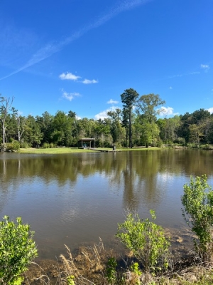 FARMADILLO RANCH 136.61 Acres